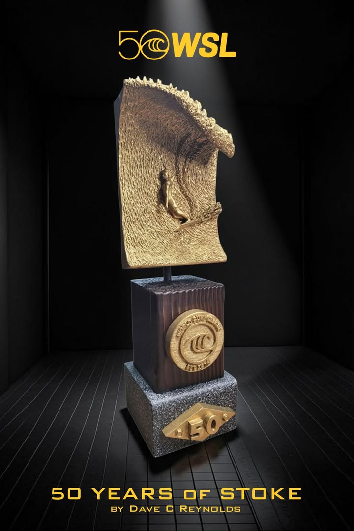 50 Years of Stoke Sculpture by Dave C Reynolds