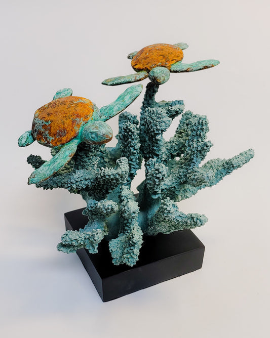 True Locals Baby Turtle Cove by Dave C Reynolds