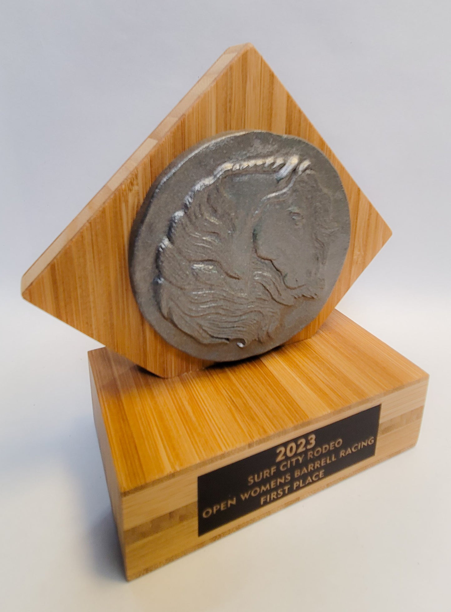 Round Up Equestrian Trophy by Dave C Reynolds