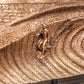 Wahine Style High Surf Sculpture by Dave C Reynolds