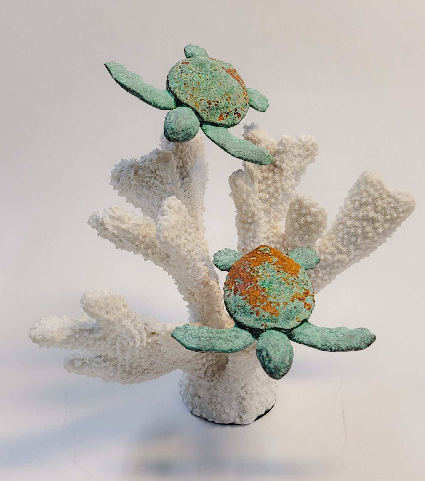 True Locals Baby Reef Turtle Sculpture by Dave C Reynolds